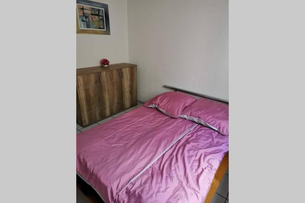 Ferienwohnung In Singen Am Hohentwiel - Seenah Dış mekan fotoğraf