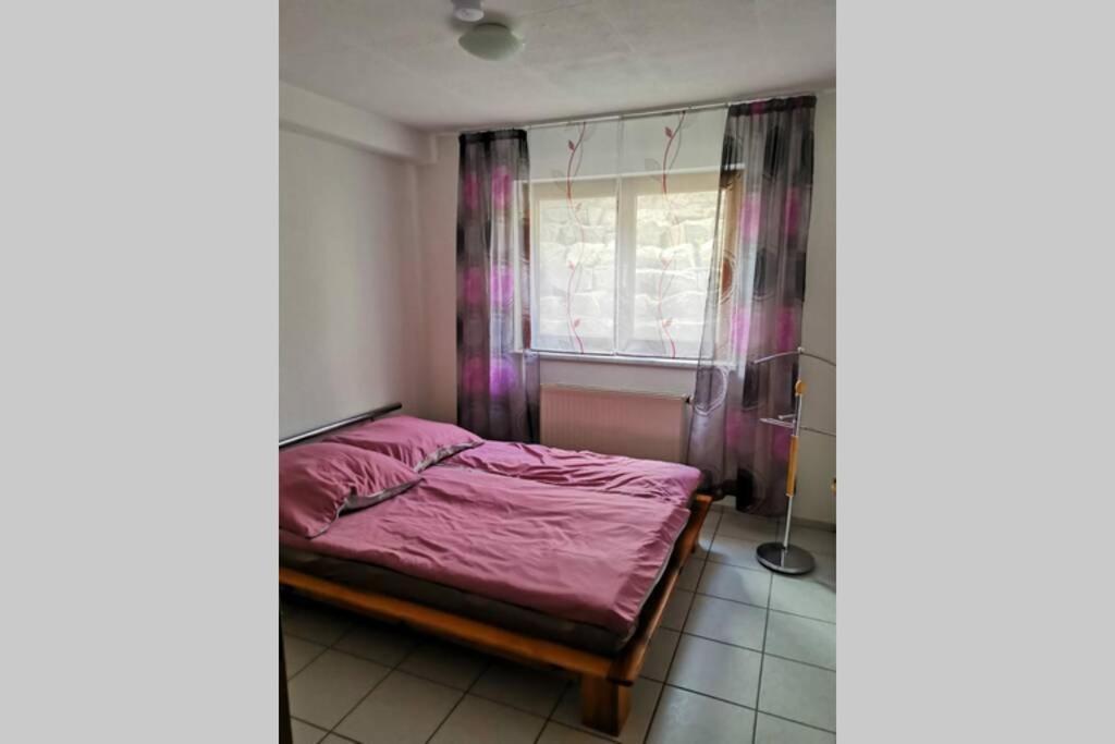 Ferienwohnung In Singen Am Hohentwiel - Seenah Dış mekan fotoğraf