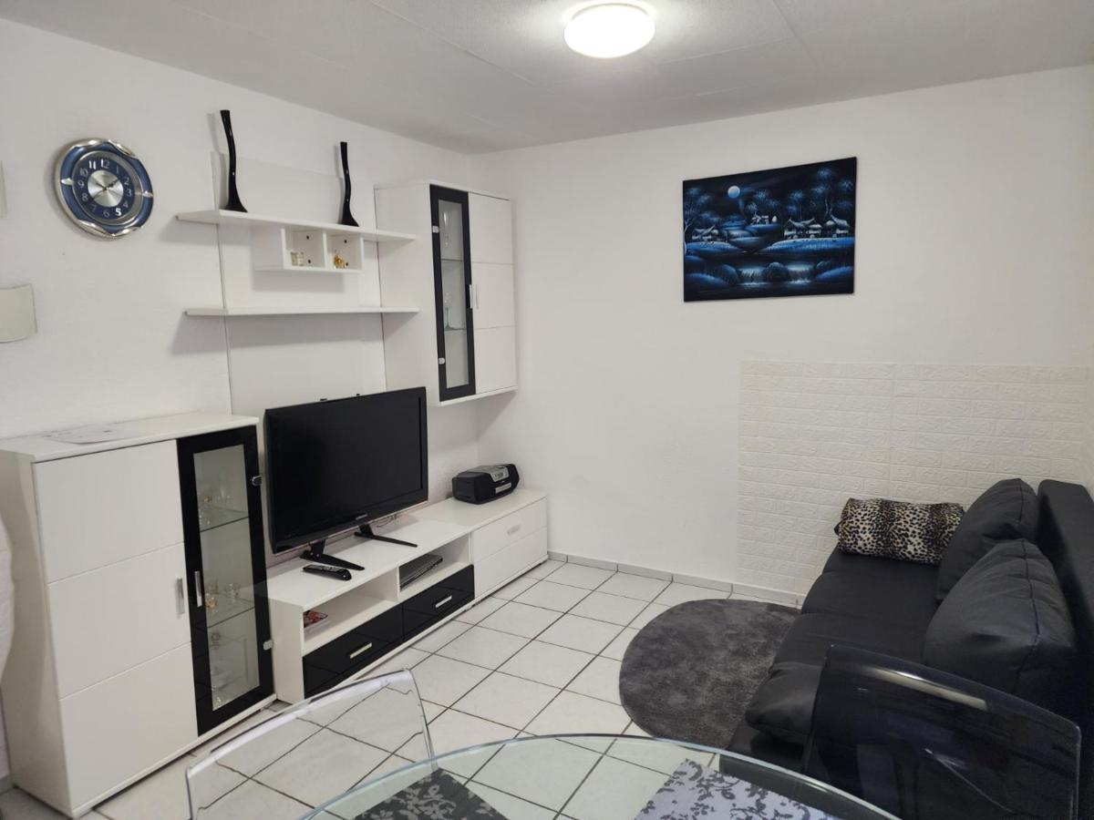 Ferienwohnung In Singen Am Hohentwiel - Seenah Dış mekan fotoğraf