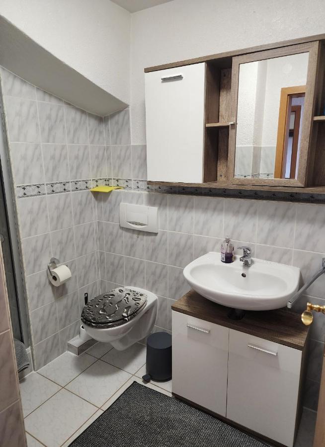 Ferienwohnung In Singen Am Hohentwiel - Seenah Dış mekan fotoğraf