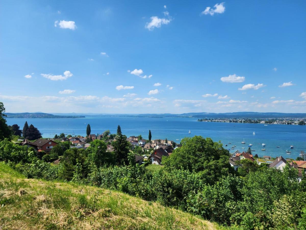 Ferienwohnung In Singen Am Hohentwiel - Seenah Dış mekan fotoğraf